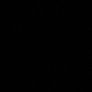 Meet your Posher, Lexi